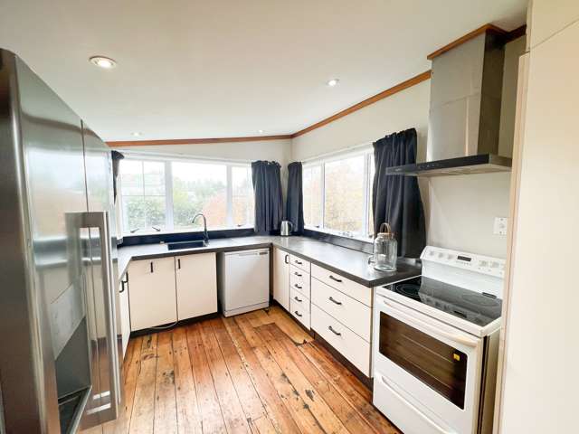 45 Swinburn Street Dannevirke_1