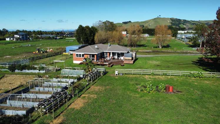 151 Domain Road Papamoa Beach_9
