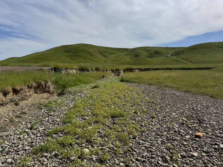 302 Bruce Road Turakina_13