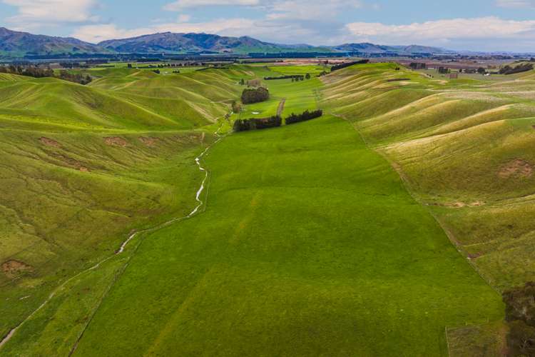 Marama Road Seddon_2