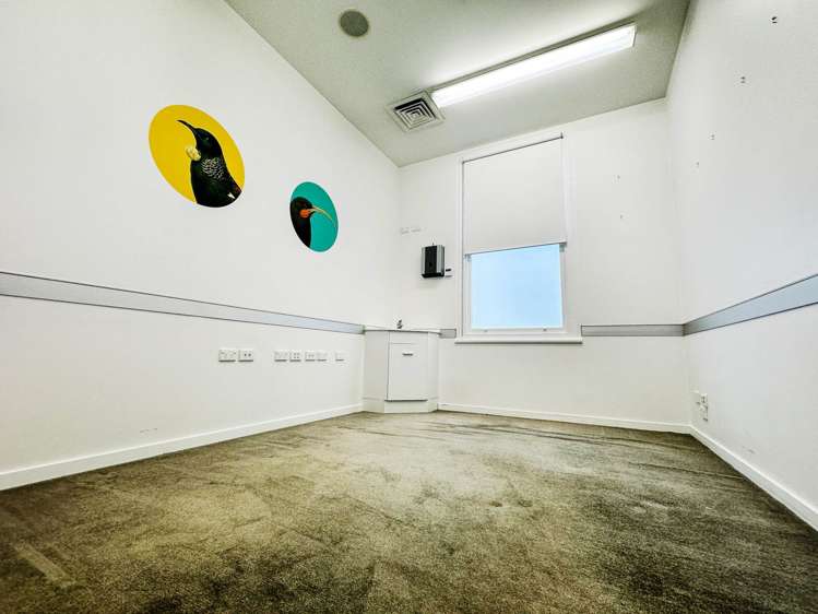 532 Parnell Road Parnell_6