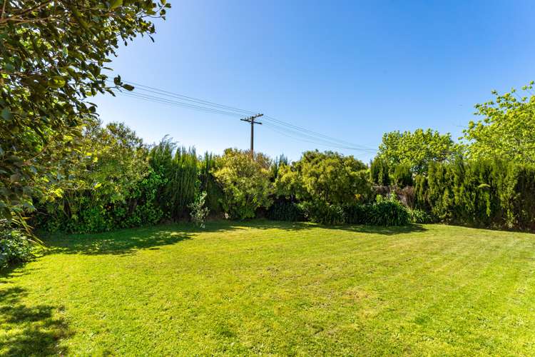 1 Lewis Street Redwoodtown_14