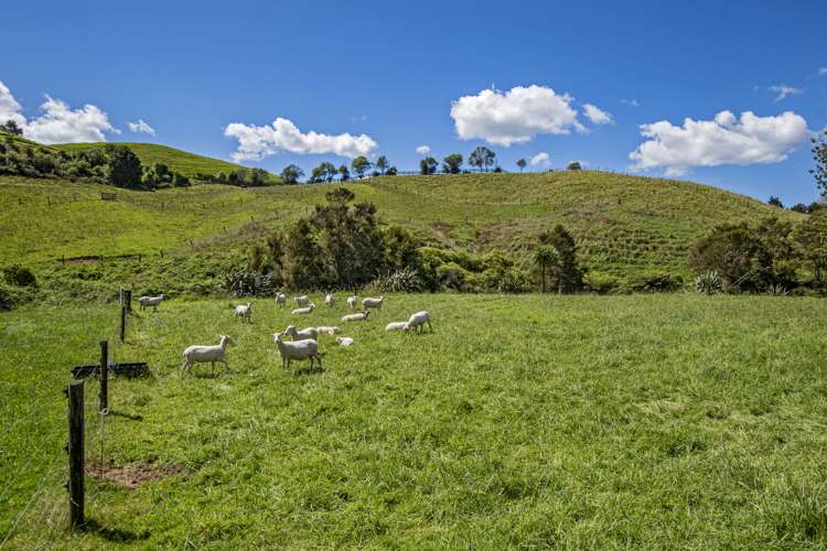 283 Pataua North Road Whareora_30