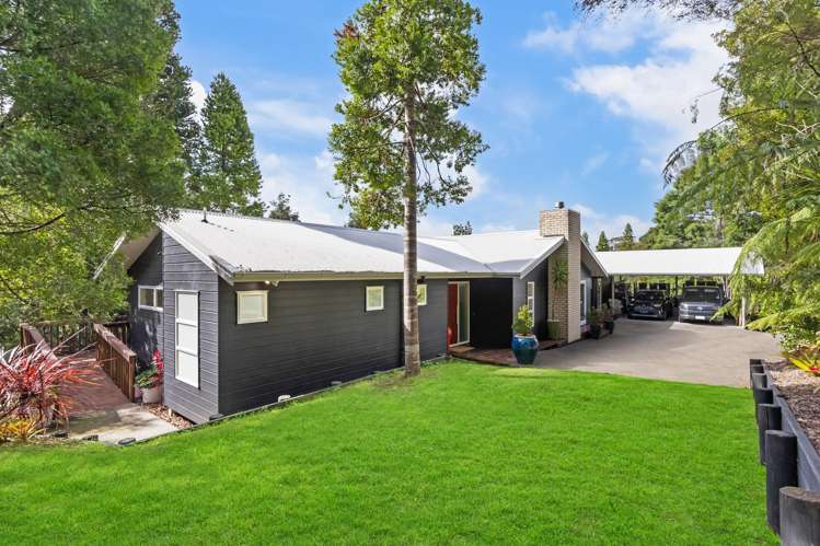18 Primrose Lane Albany_12