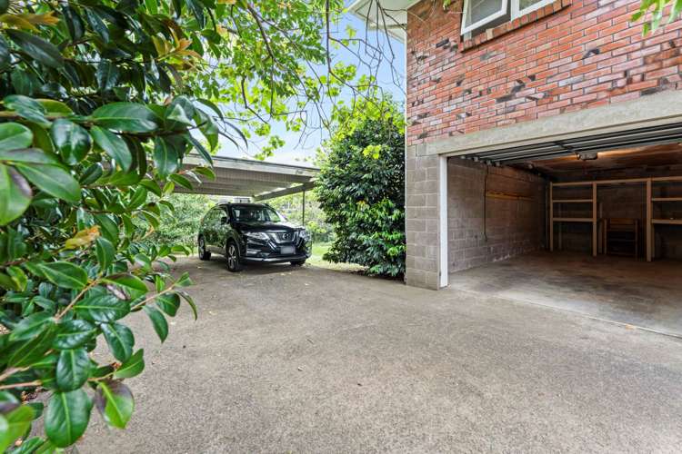 3/10 Nile Road Milford_12