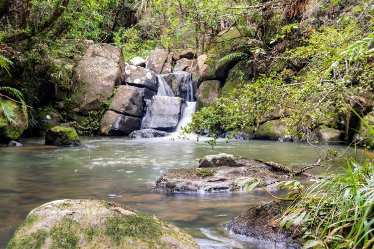 6754 State Highway 12 Waimamaku_0