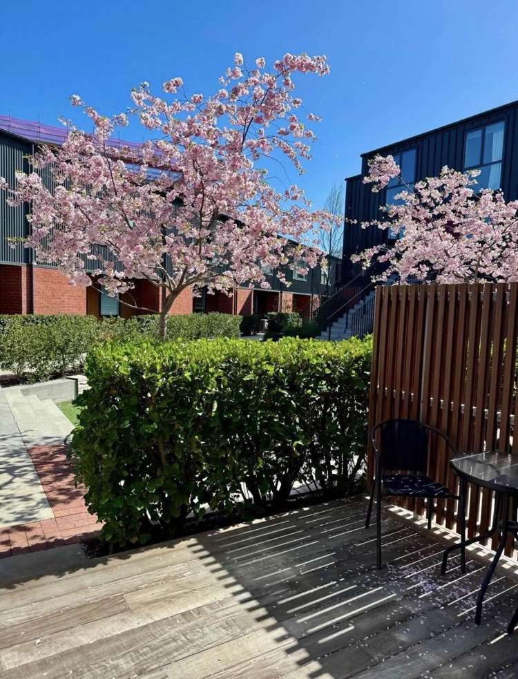 3/135 Lichfield Street_0