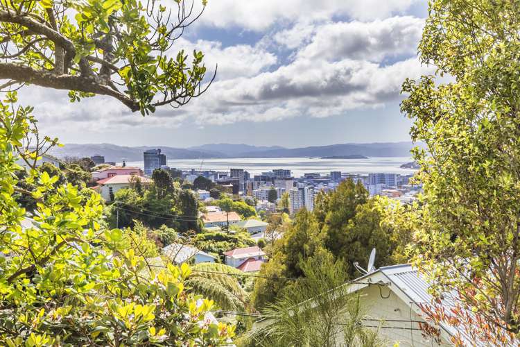 39 Mortimer Terrace Aro Valley_8