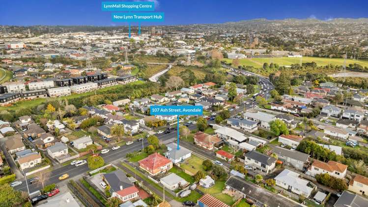 107 Ash Street Avondale_27
