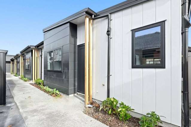 22B Palmer Crescent Silverstream_1