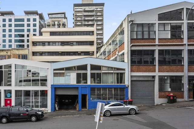 40 Airedale Street Auckland Central_2