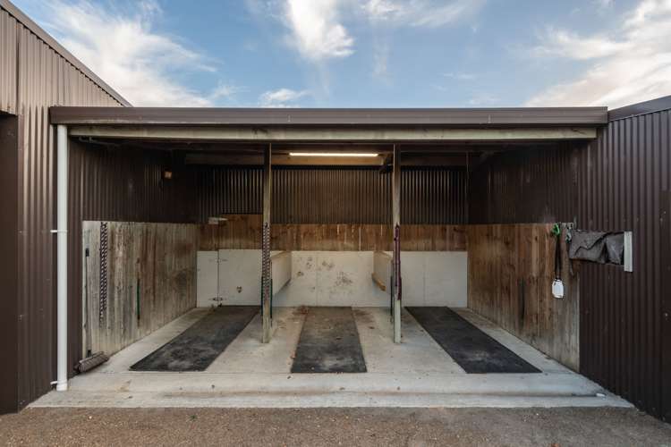 81 Racecourse Road Cambridge_32