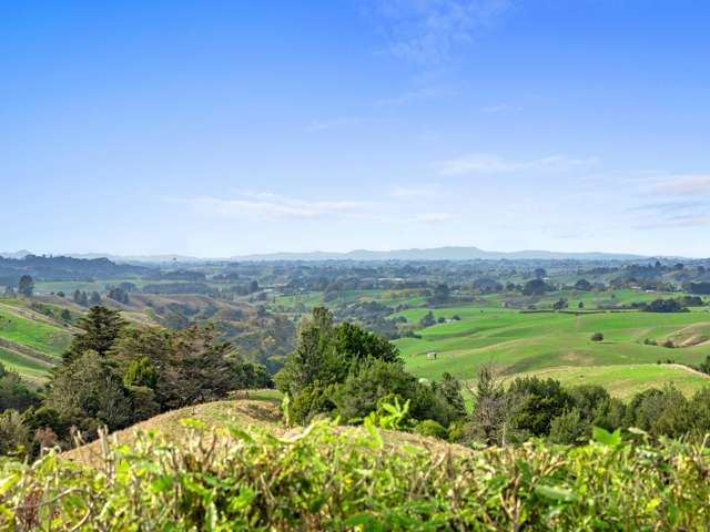 163 Arthur Road Te Pahu_2