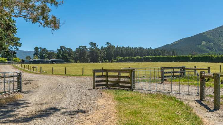 260 Hayland Road Okuku_14