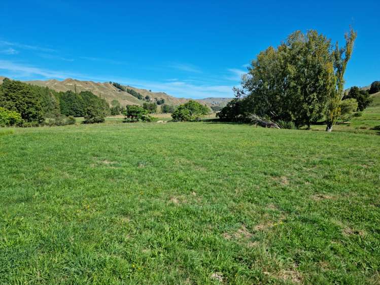 3779 Whanganui River Road (State Highway 43) Ruapehu-King Country Surrounds_12