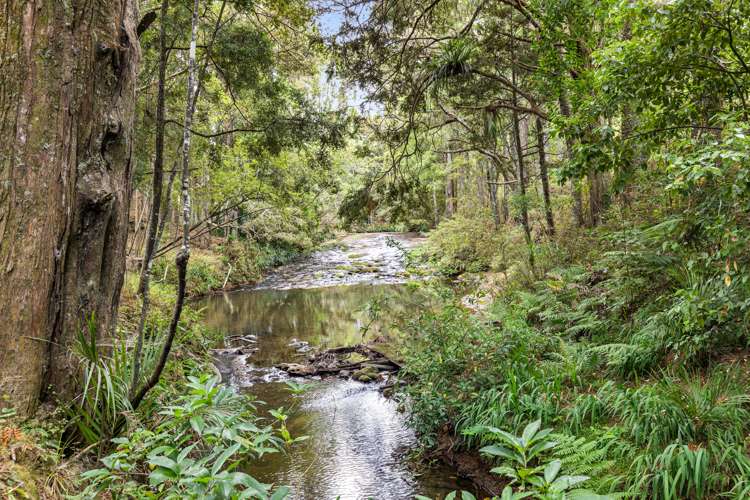 1703 Pohuehue Road Warkworth_5