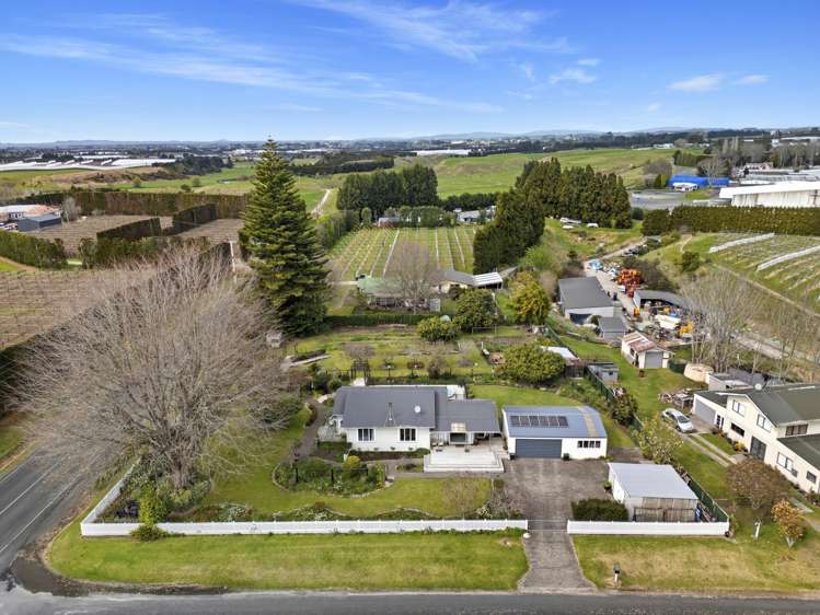 5 Huse Lane Te Puke_29
