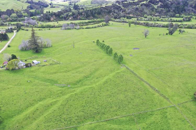 3581 Motueka Valley Highway Kahurangi National Park_14