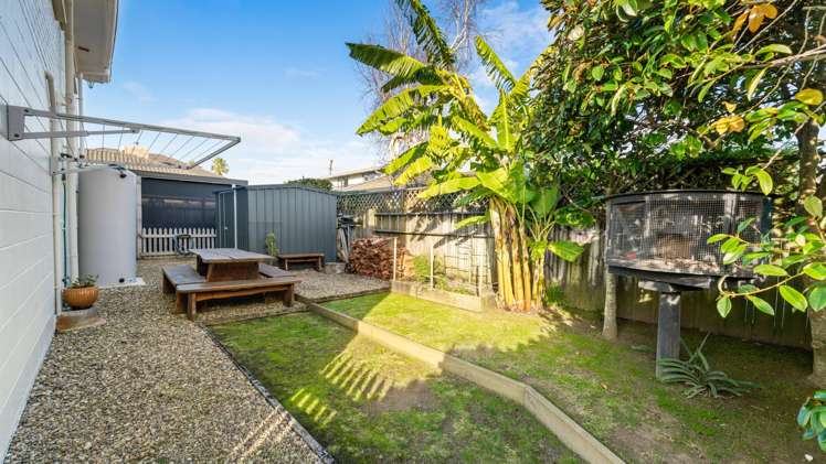 48 Torkar Road Clarks Beach_21