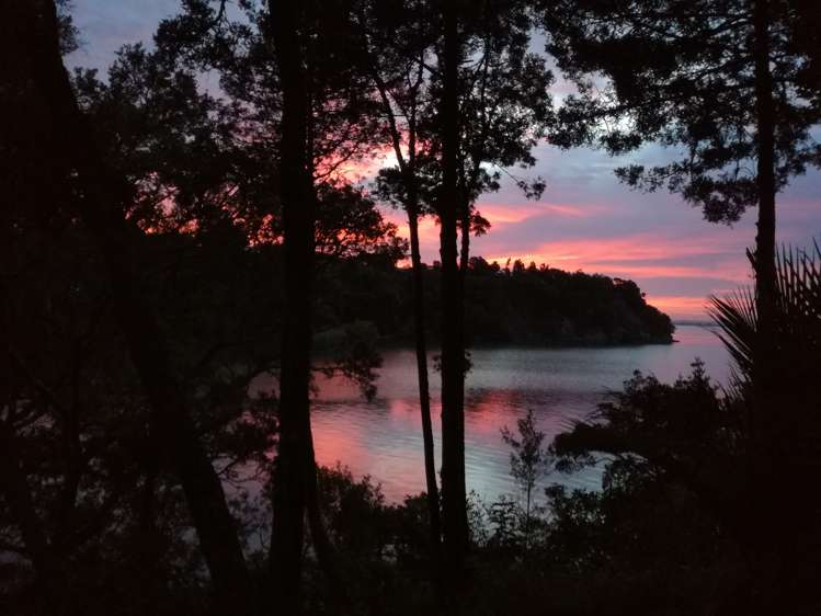 14 Paturoa Road Titirangi_22