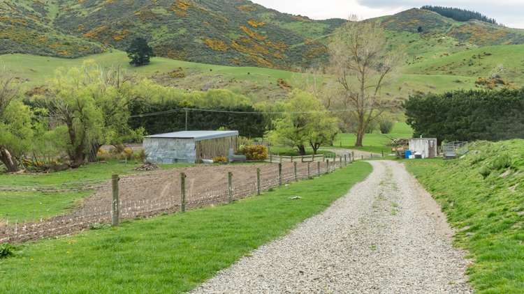 357 Waianiwaniwa Road Sheffield_5