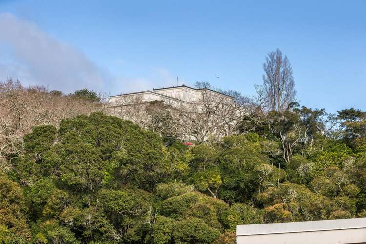 13/27 Birdwood Crescent Parnell_3