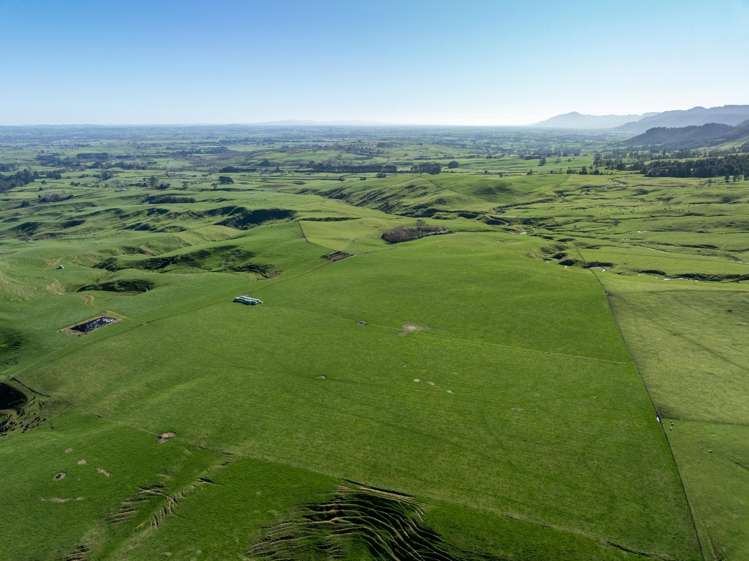 134 Old Te Aroha Road Te Poi_21