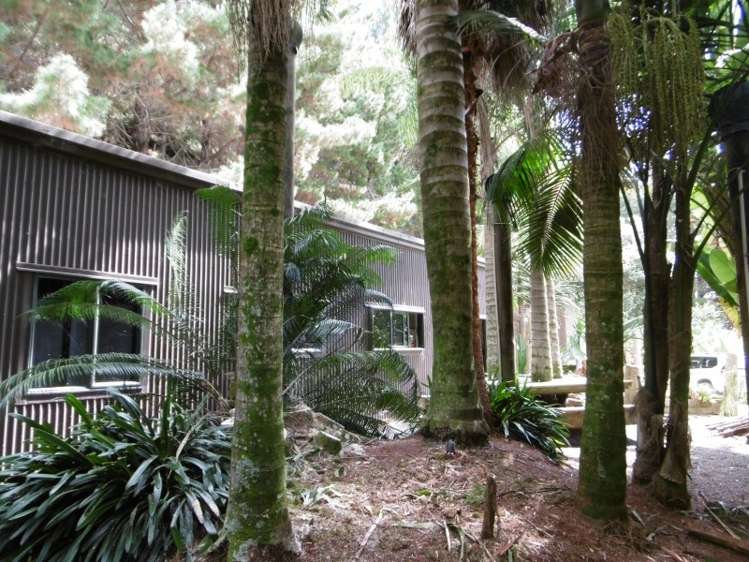 697 Tangihua Road Maungakaramea_18