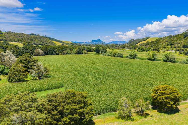 2358 State Highway 1 Hukerenui_18