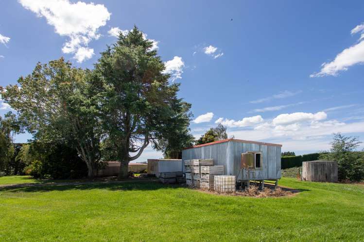 331 Maniatutu Road Pongakawa_8