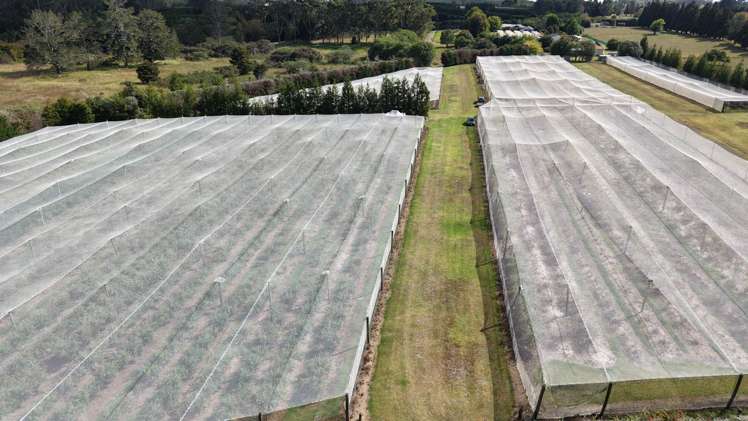71e Keri Downs Road Kerikeri_1