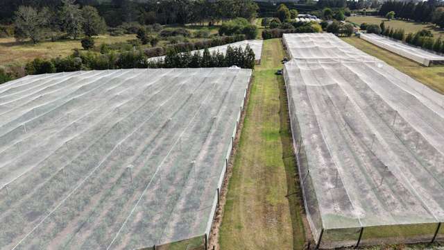 71e Keri Downs Road Kerikeri_1