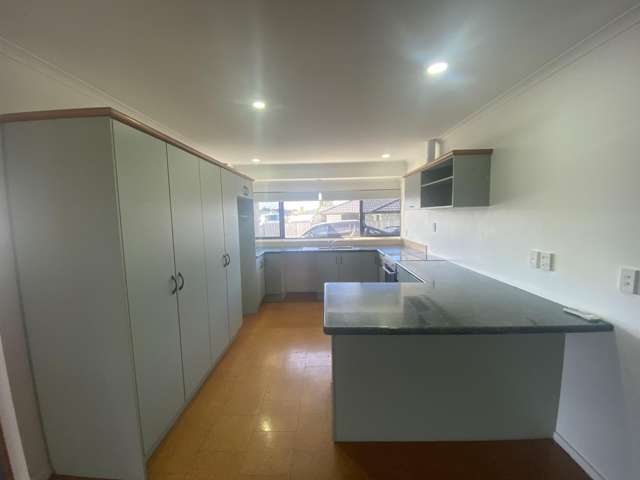 3 Gulati Lane Morrinsville_2
