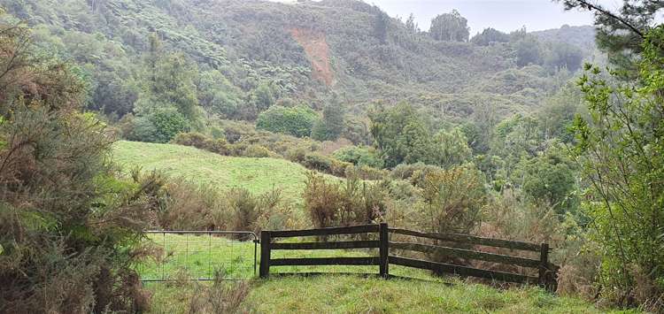 747c No 4 Road Te Puke_9