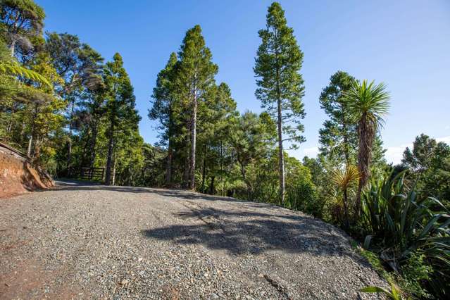 15 Te Aute Ridge Road Waitakere_1