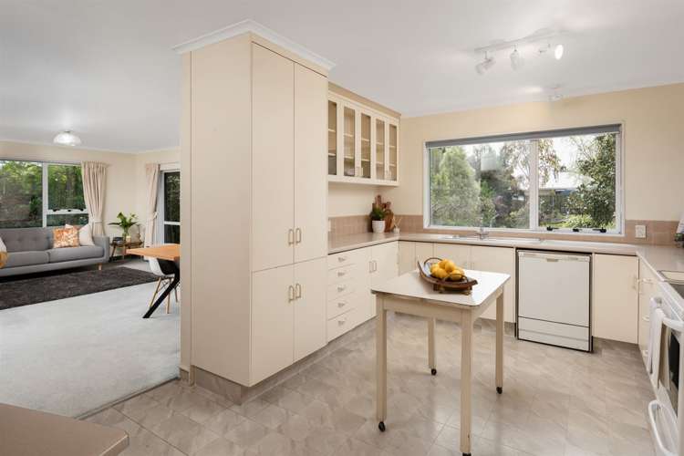 6b Battys Road Springlands_15