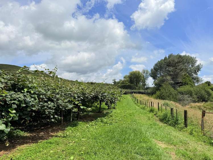 155 Mystery Valley Road Paengaroa_9