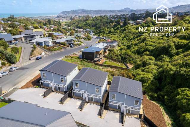 199 Somerville Street Shiel Hill_1