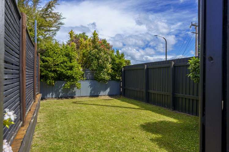 3 Riverbend Road Onekawa_9