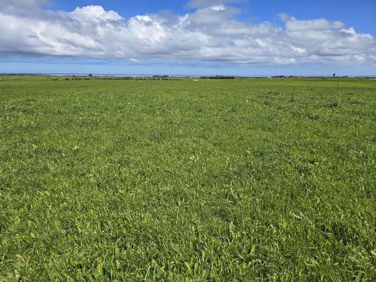 189 Namu Road Rd 31_8