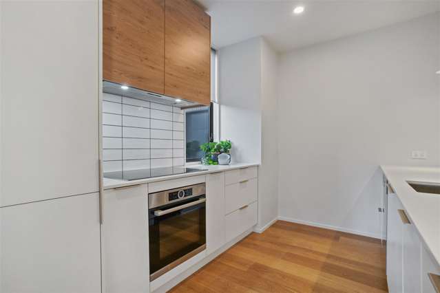 1031b Colombo Street Saint Albans_3