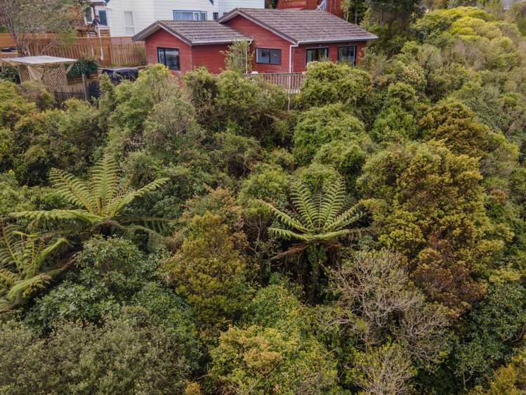 43 Montgomery Avenue Karori_7