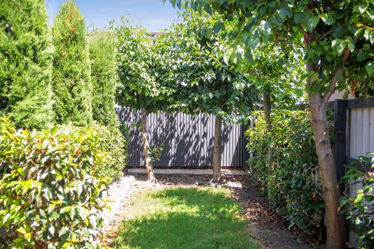 29 Francis Street Blenheim_3