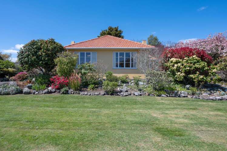23 Lynmore Avenue Lynmore_25