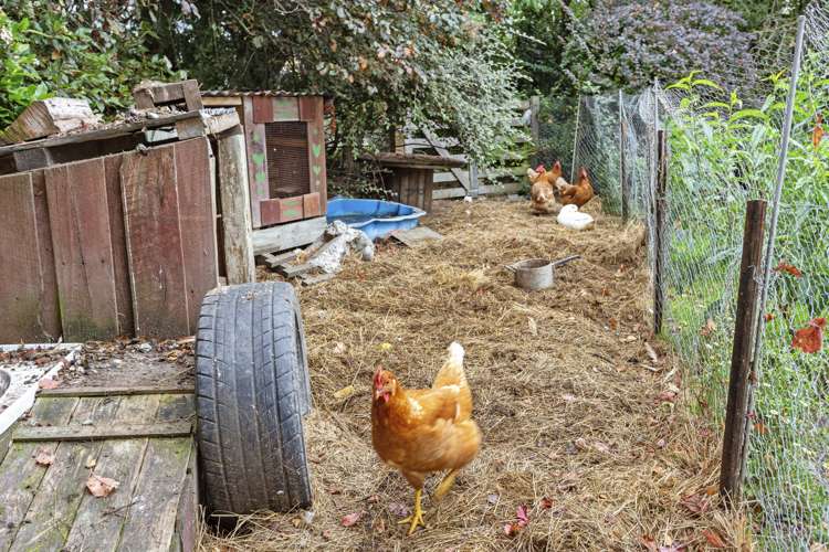 47 Church Street Oxford_11