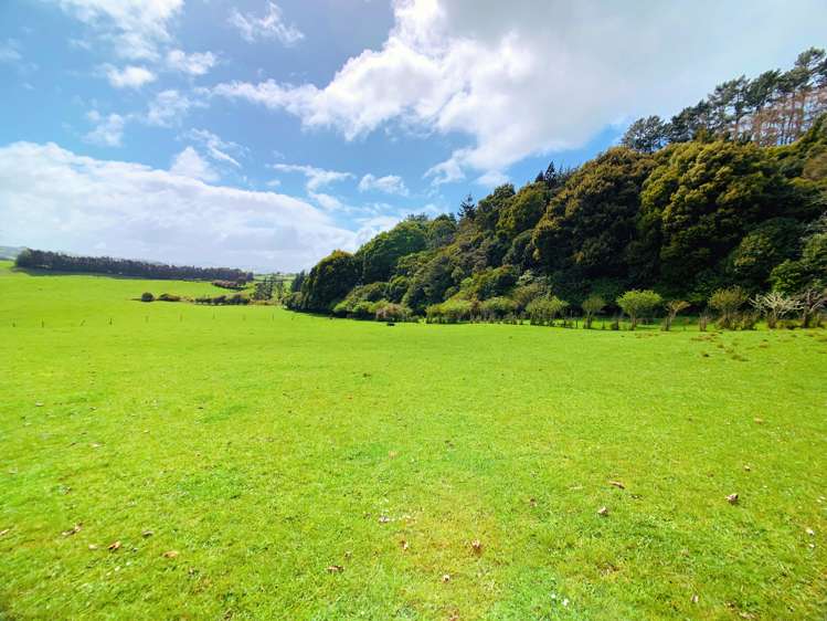 283 Trig Road Tuakau_6