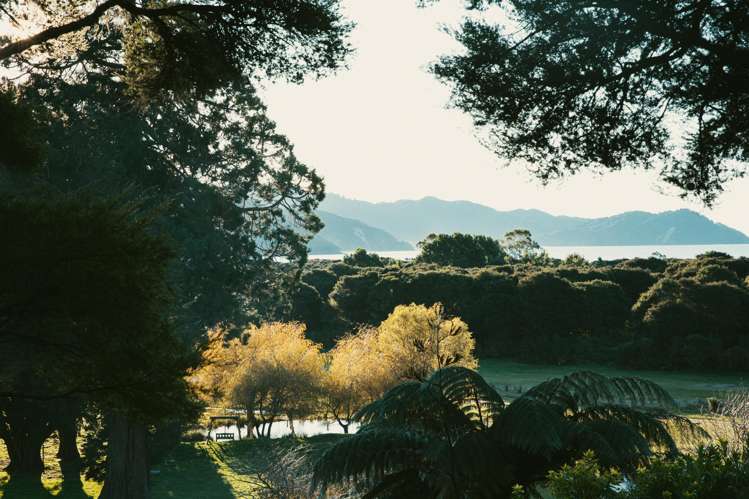 49 Awaroa Inlet Awaroa_8