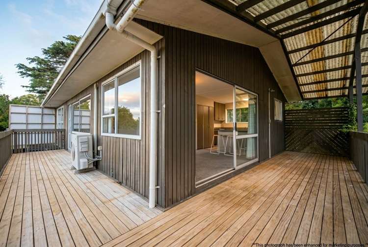 2/55A West Lynn Road Titirangi_11