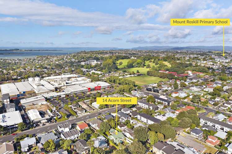 14 Acorn Street Royal Oak_32