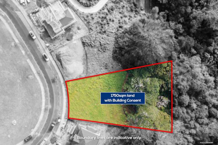 124 Kewa Road Albany Heights_3